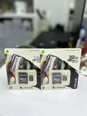 Micro SD Card 32GB