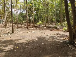 අනුරාධපුර සාලියමාවතෙන් සින්නක්කර බිම්කොටස්