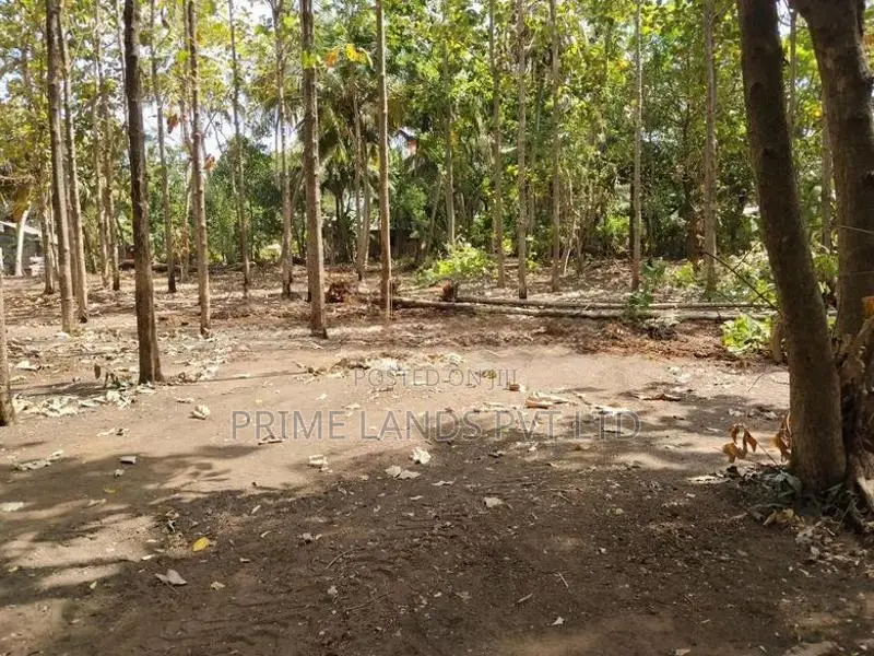 අනුරාධපුර සාලියමාවතෙන් සින්නක්කර බිම්කොටස්