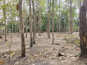 අනුරාධපුර සාලියමාවතෙන් සින්නක්කර බිම්කොටස්