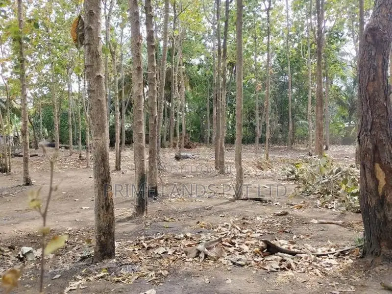 අනුරාධපුර සාලියමාවතෙන් සින්නක්කර බිම්කොටස්