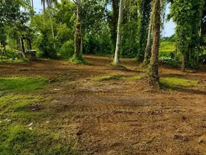 කඩවත ඉබුල්ගොඩින් නිස්කලංක හා උසස් නේවාසික පරිසරය CH 13953