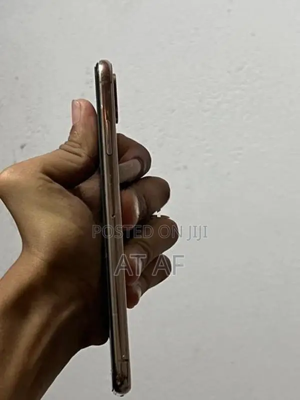 Apple iPhone XS Max (Used)