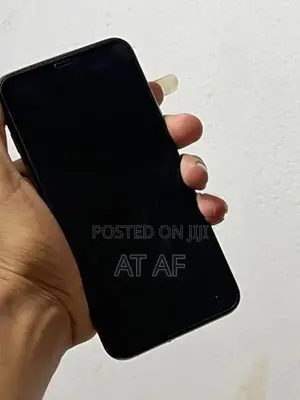 Apple iPhone XS Max (Used)
