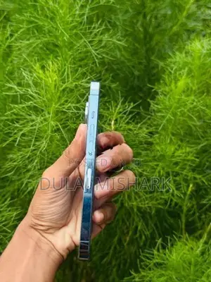 Apple iPhone 13 Pro (Used)