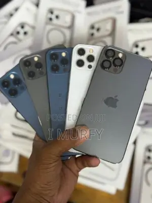Apple iPhone 12 Pro 256GB (Used)