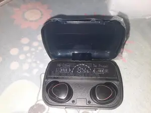M10 Digital Earbuds