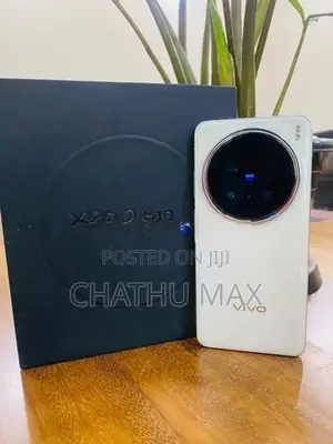 Vivo X200 Pro (Used)