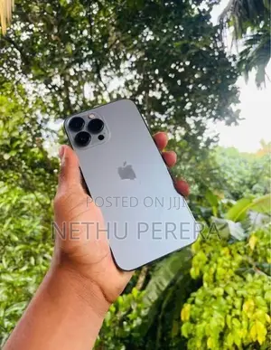 Apple iPhone 13 Pro Max (Used)