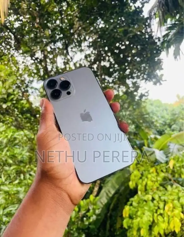 Apple iPhone 13 Pro Max (Used)