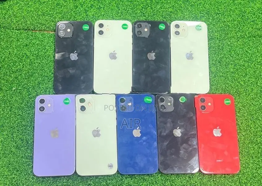 Apple iPhone 12 256GB (Used)