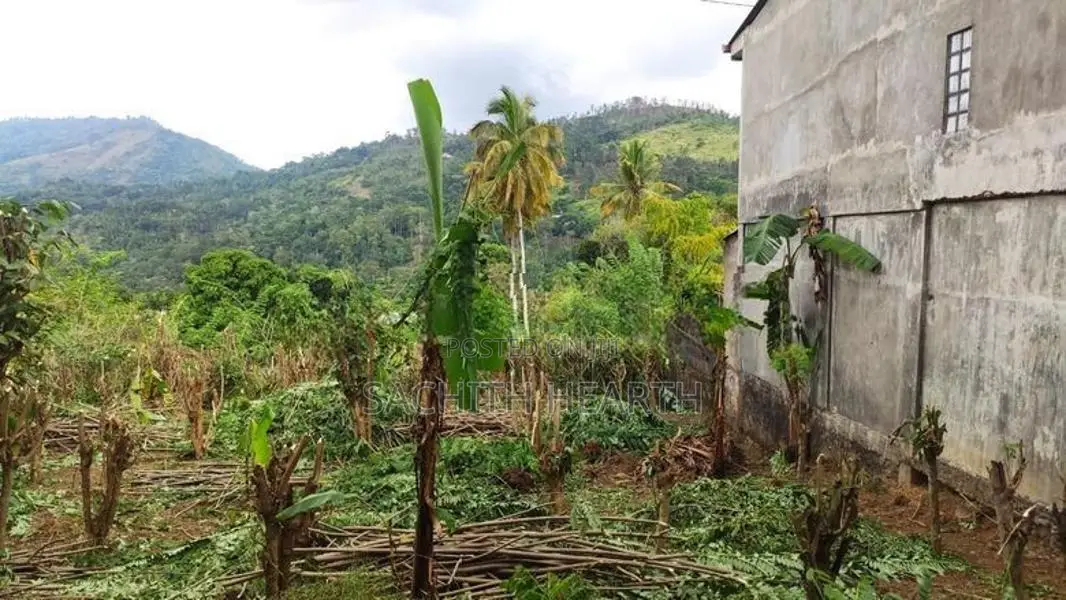බදුල්ලෙන් අගනා ඉඩමක් ඉතා