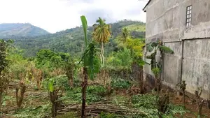 බදුල්ලෙන් අගනා ඉඩමක් ඉතා