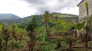 බදුල්ලෙන් අගනා ඉඩමක් ඉතා