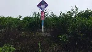 Land For Sale In Upper Glenloch Ramboda; Lot 123