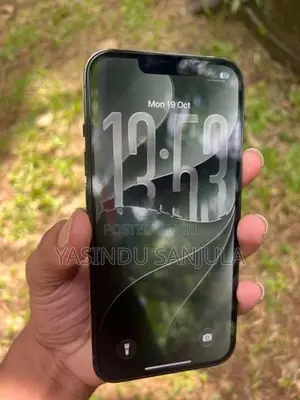 Apple iPhone 13 Pro (Used)