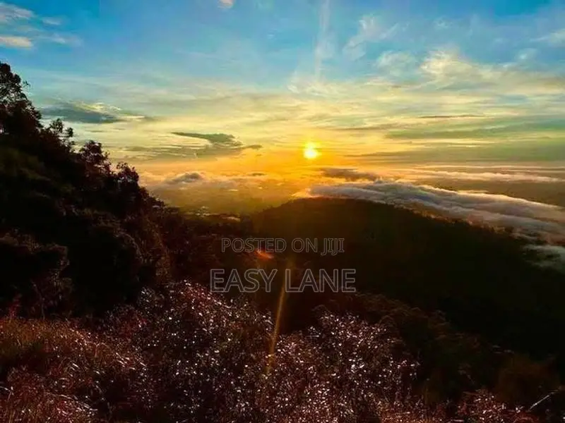 හපුතලේ මීදුම් පාරාදීසයෙන් පර්චස් 36 RU In Haputale