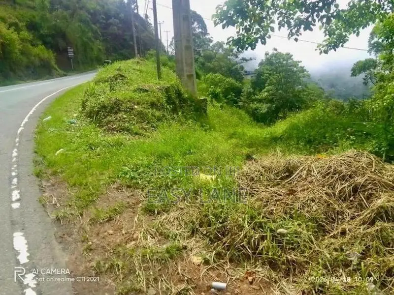 හපුතලේ මීදුම් පාරාදීසයෙන් පර්චස් 36 RU In Haputale