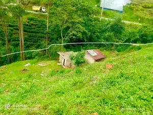 හපුතලේ මීදුම් පාරාදීසයෙන් පර්චස් 36 RU In Haputale