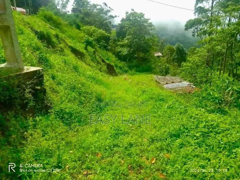 හපුතලේ මීදුම් පාරාදීසයෙන් පර්චස් 36 RU In Haputale