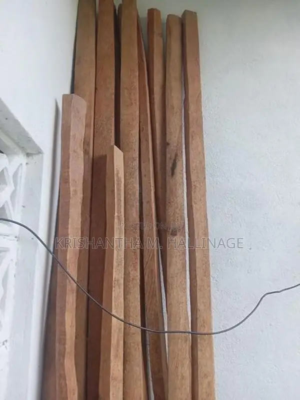 පොළ් පරාල සහ යට ලී