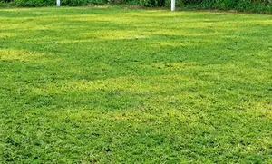 Residential Land for Sale in Godagama
