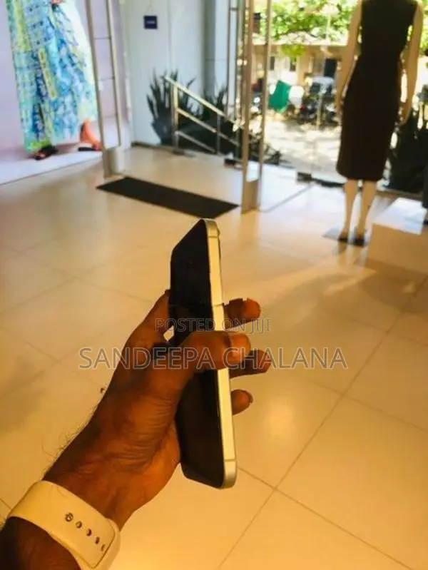Apple iPhone 15 Plus (Used)