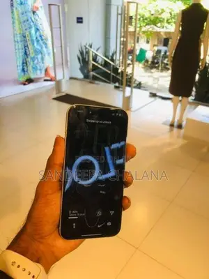 Apple iPhone 15 Plus (Used)