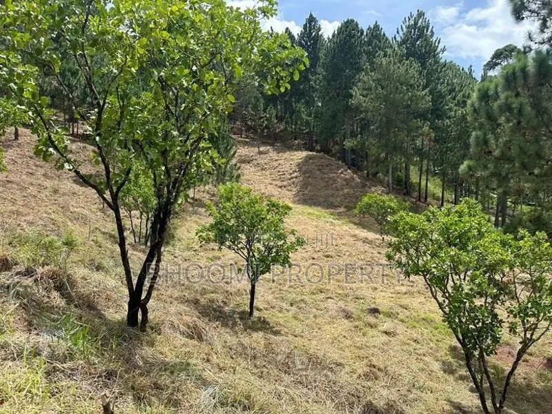 Land for Sale in Ella