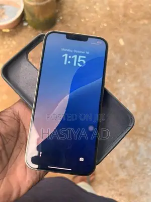 Apple iPhone 13 Pro Max (Used)