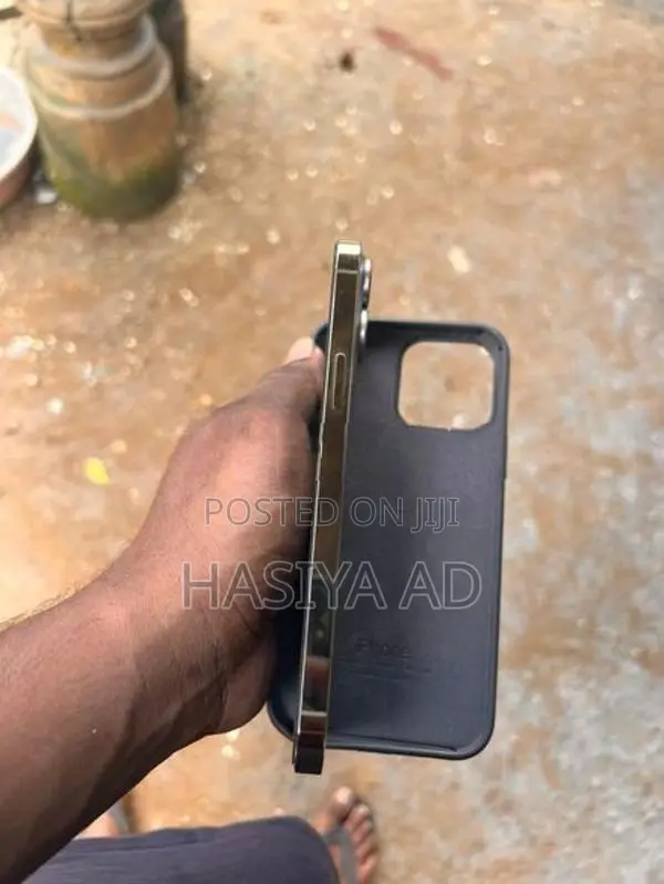 Apple iPhone 13 Pro Max (Used)