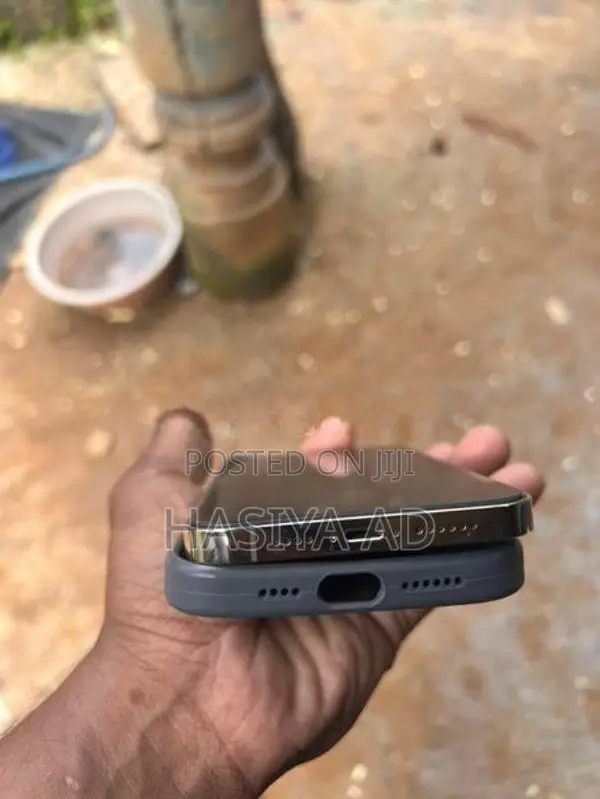 Apple iPhone 13 Pro Max (Used)