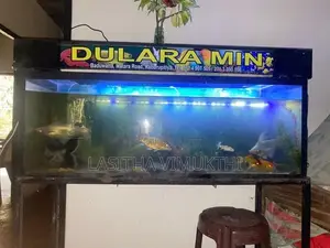 මත්ස්‍යයන් සමග මාලු ටැන්කියක් - Fish Tank