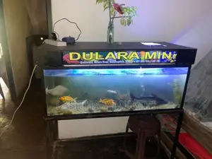 මත්ස්‍යයන් සමග මාලු ටැන්කියක් - Fish Tank