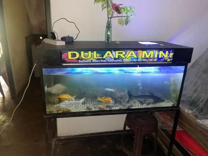 මත්ස්‍යයන් සමග මාලු ටැන්කියක් - Fish Tank