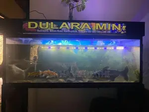 මත්ස්‍යයන් සමග මාලු ටැන්කියක් - Fish Tank