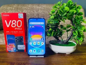 ZTE nubia V80 Pro 20GB 256GB (Used)