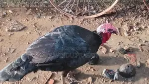 Kalukum