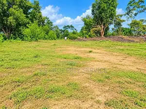 21.6-Perch Land For Sale In Kirimetimulla, Telijjawila (Sspl-550)