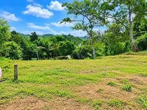 21.6-Perch Land For Sale In Kirimetimulla, Telijjawila (Sspl-550)