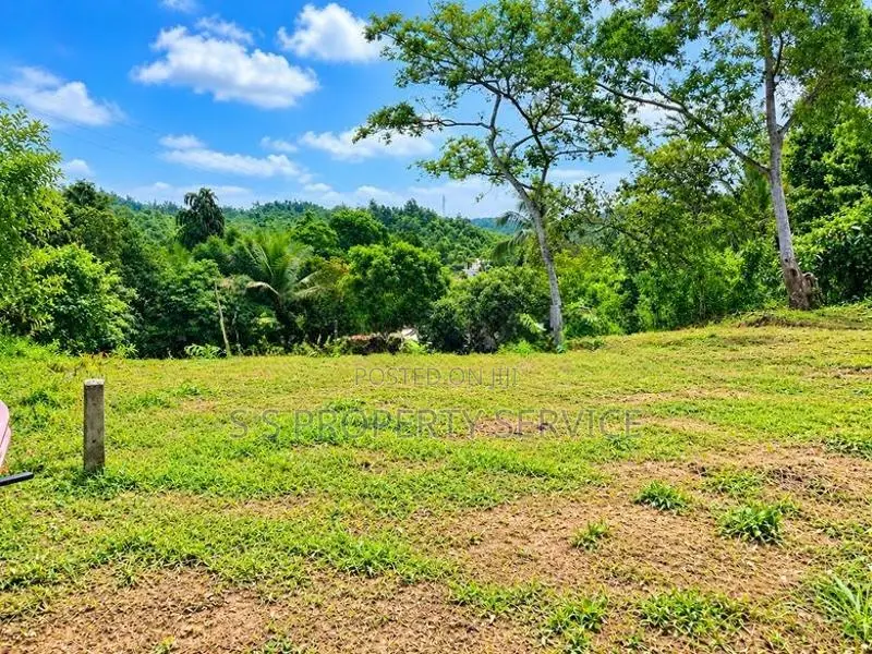 21.6-Perch Land For Sale In Kirimetimulla, Telijjawila (Sspl-550)