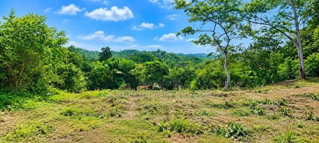 21.6-Perch Land For Sale In Kirimetimulla, Telijjawila (Sspl-550)