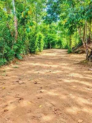 21.6-Perch Land For Sale In Kirimetimulla, Telijjawila (Sspl-550)