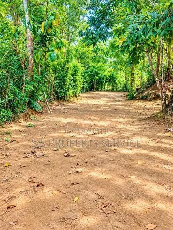 21.6-Perch Land For Sale In Kirimetimulla, Telijjawila (Sspl-550)
