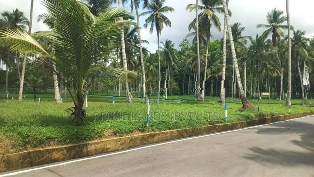 යක්කල නගරයෙන්ම ඉඩමක් විකිණීමට