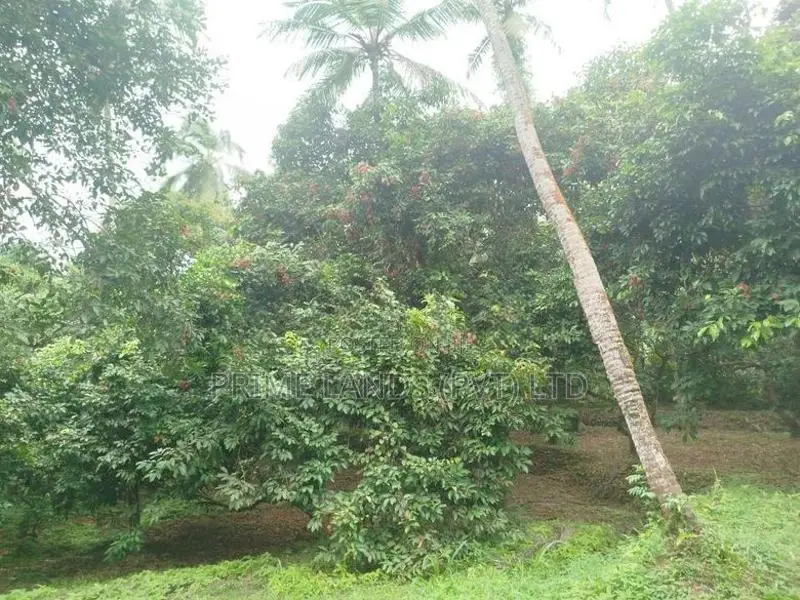 මීගොඩ බිම් කොටස් විකිණීමට