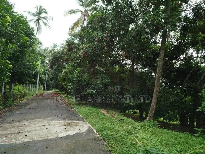 මීගොඩ බිම් කොටස් විකිණීමට