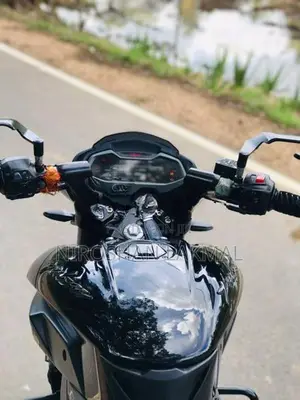Bajaj Pulsar NS200 2025