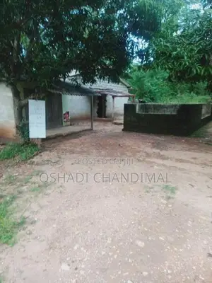 Land for Sale Padiyathalawa