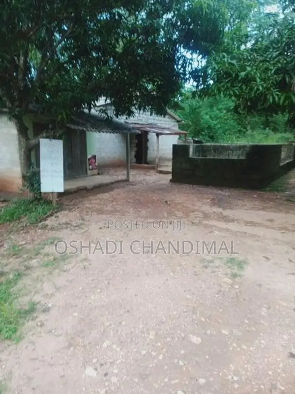 Land for Sale Padiyathalawa